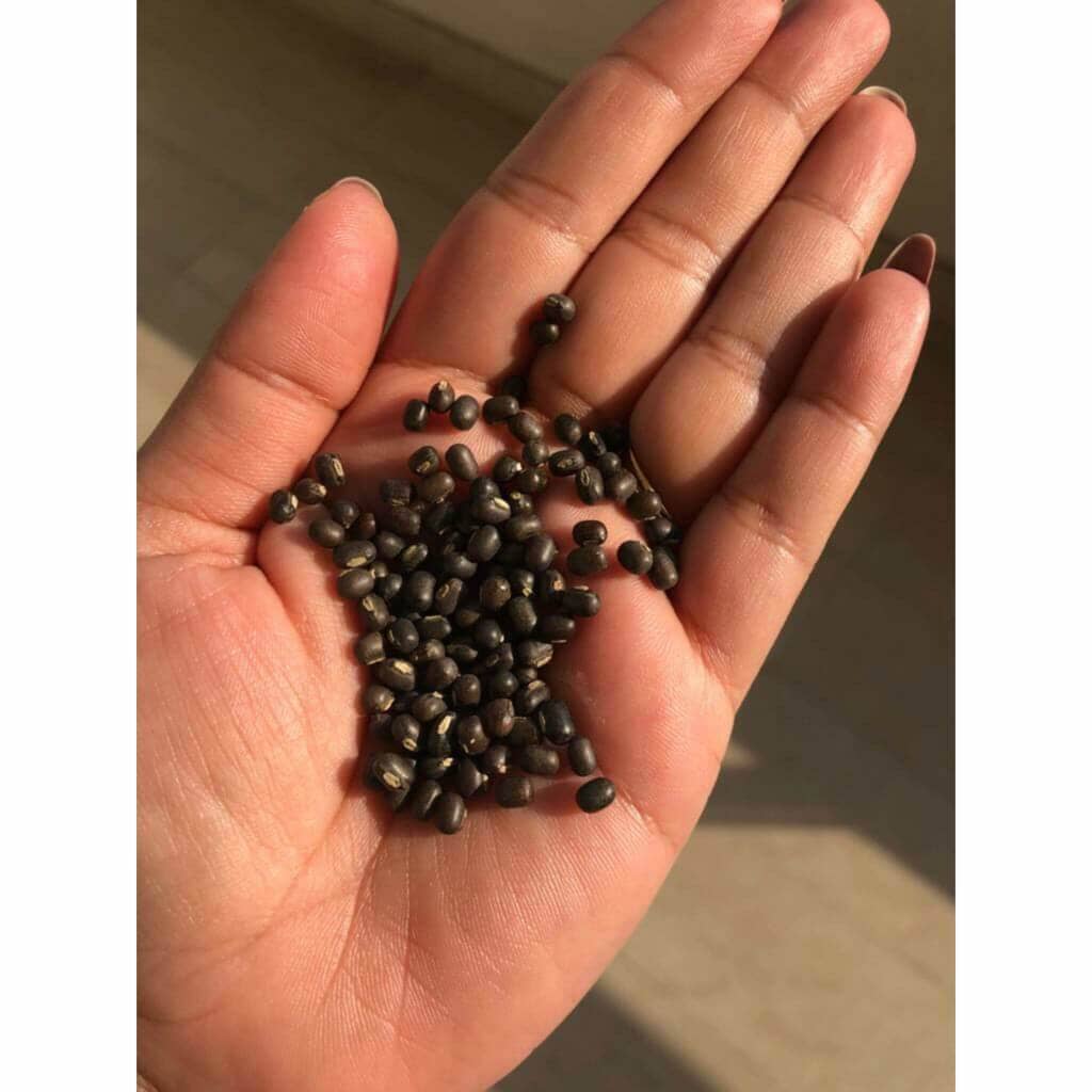 Balaayah Potenciador Corporal De Lentilha Preta (Balaayah Black Gram Body Booster)